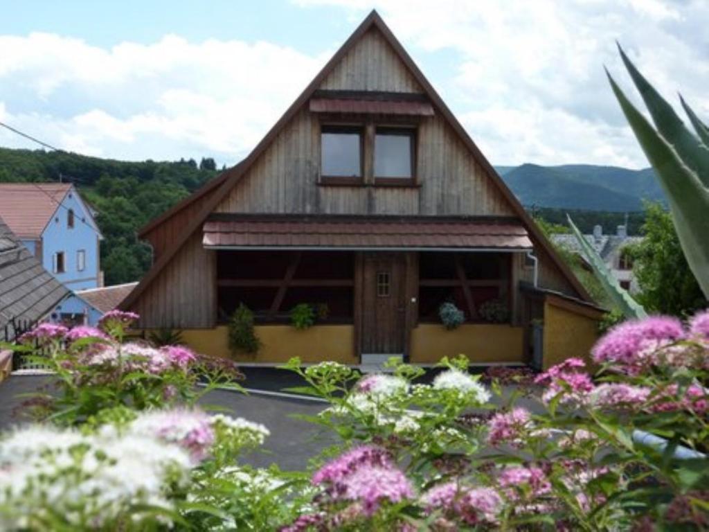 Gite Schlitteur Et Sapiniere Breitenbach Quarto foto